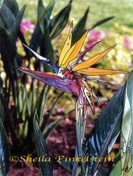 bird of paradise outside West Palm Beach Convention Center